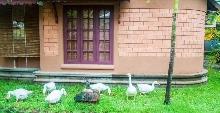 Pagoda Resorts Alappuzha Екстер'єр фото